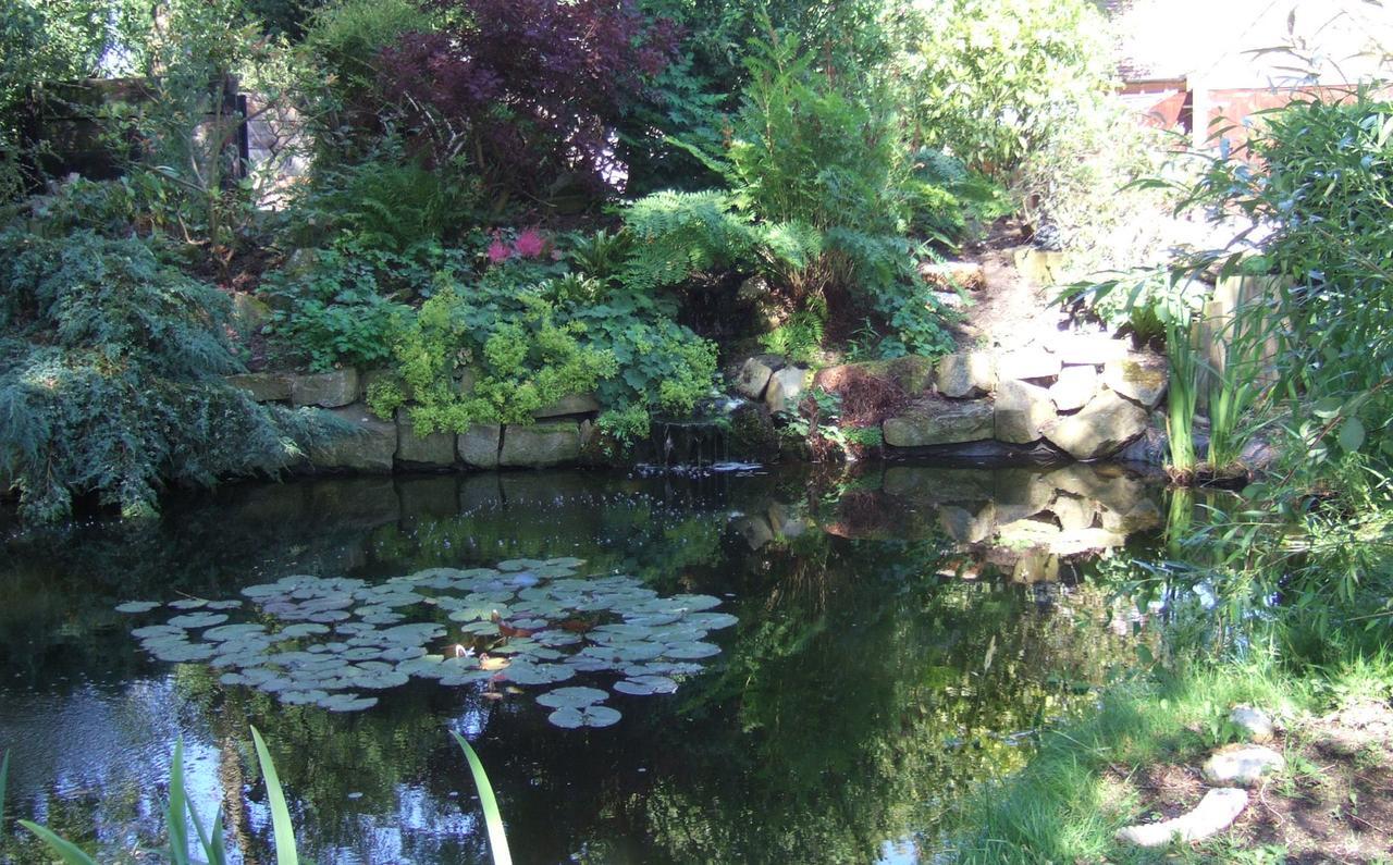 Lime Trees Farm Bed & Breakfast Bicester Eksteriør bilde