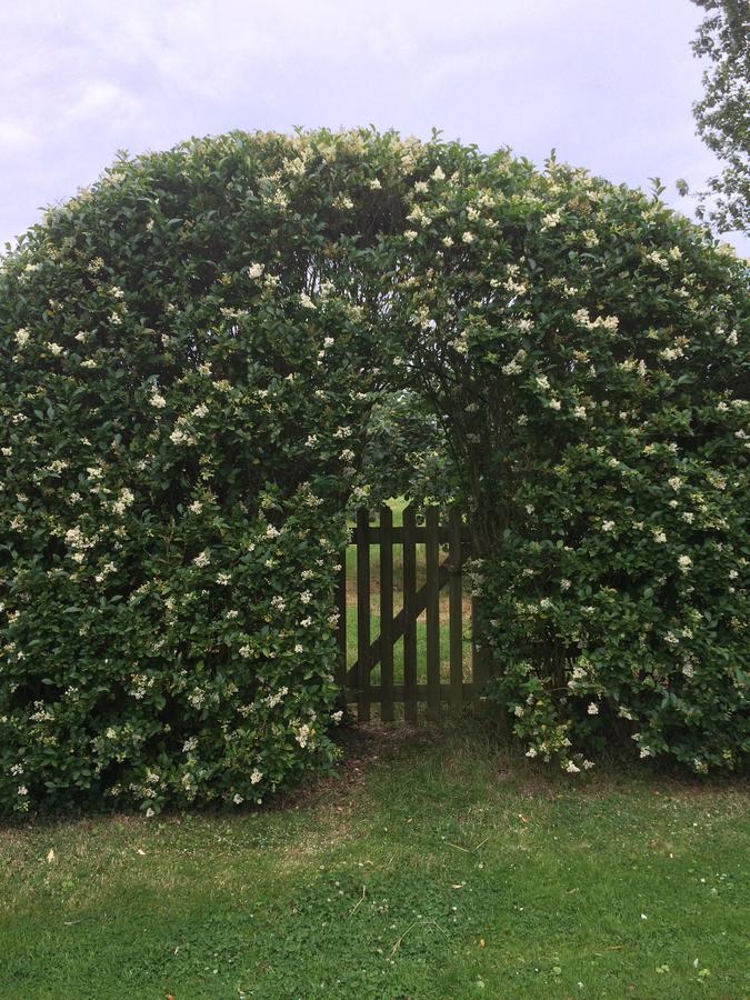Lime Trees Farm Bed & Breakfast Bicester Eksteriør bilde